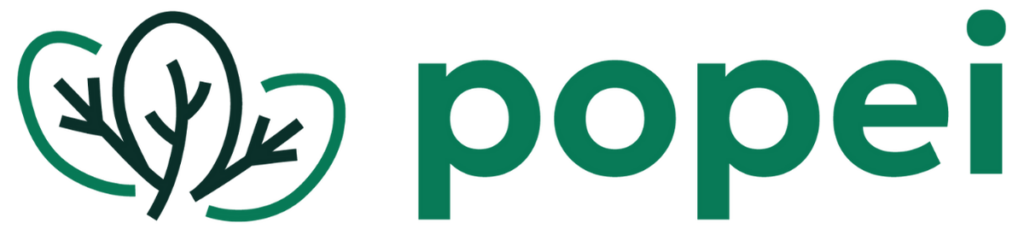 Logo Popei, pilotage des politiques d’emploi inclusives